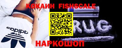 крисы Краснодар