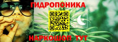 крисы Краснодар
