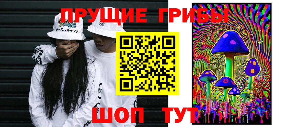 Галлюциногенные грибы Cubensis Кингисепп