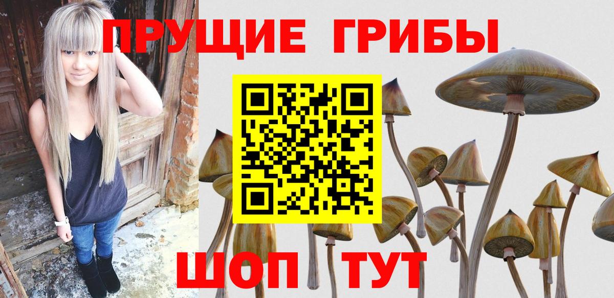 Кингисепп  Галлюциногенные грибы ЛСД  Вход с VPN 